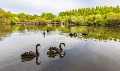 春到太阳岛