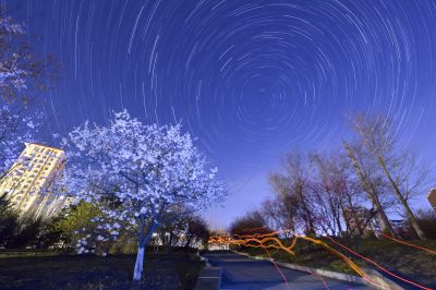 花卉星轨星空