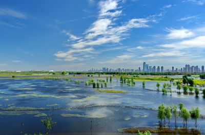 哈尔滨外滩湿地公园