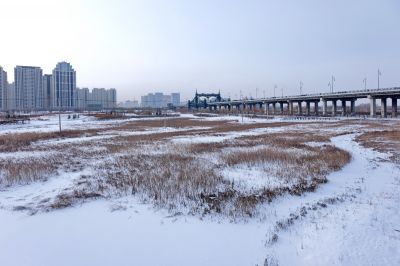 哈尔滨外滩湿地公园