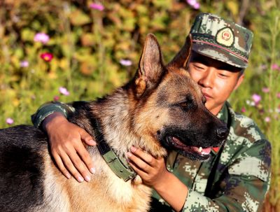 战士与警犬