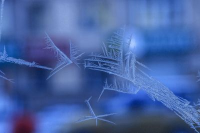 东北 哈尔滨 冰窗花 冬季寒冷 室内外温差大 窗户上结成的霜 好似 形态各异的花  称冰窗花