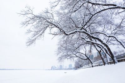 雪后的松花江道里江畔