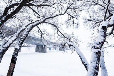 雪后的松花江道里江畔