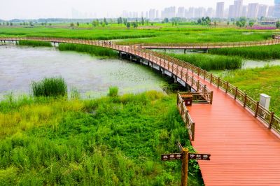 哈尔滨城市湿地景色