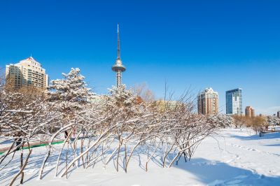 雪后的哈尔滨湘江公园