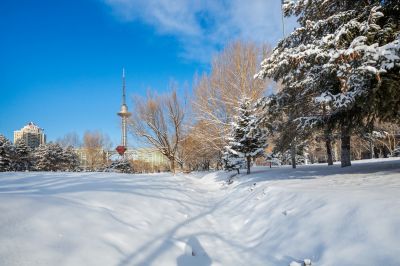 雪后的哈尔滨湘江公园