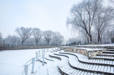 雪后的哈尔滨黛秀湖公园