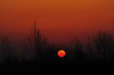 夕阳美