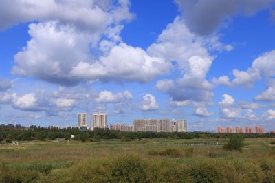 哈尔滨新区湿地风光