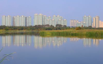 哈尔滨新区湿地风光
