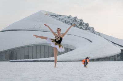 雪后的哈尔滨大剧院企鹅和美女共舞