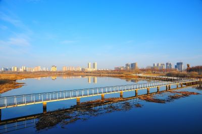 醉美大剧院湿地风光