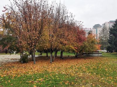 秋的色彩湘江公园哈尔滨医科大学