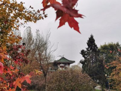 秋的色彩湘江公园哈尔滨医科大学