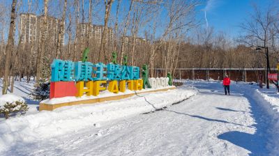 哈尔滨劳动公园冬季雪景玩雪的孩子