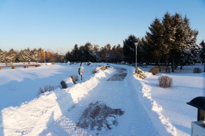 哈尔滨市香坊区第一苗圃休闲公园冬季雪景