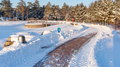 哈尔滨市香坊区第一苗圃休闲公园冬季雪景