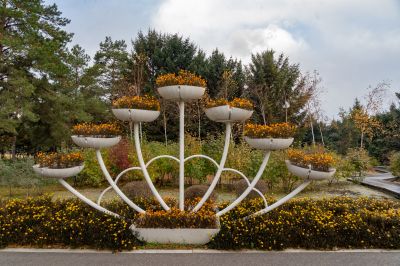 哈尔滨市香坊区第一苗圃休闲公园（香林园）夏秋季景色花卉园林