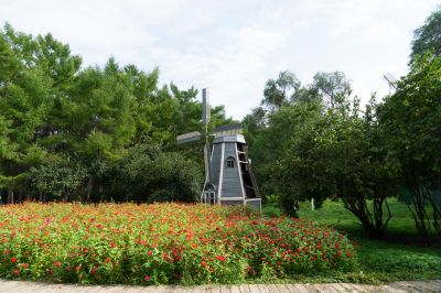 黑龙江森林植物园秋景药用植物、花卉