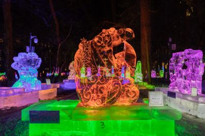 第四十届全国专业冰雕在哈尔滨市兆麟公园启动