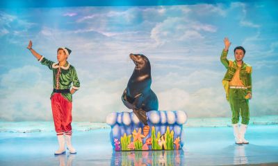 哈尔滨极地馆极地馆二期广场圣诞树雪地海狮海豹海象鱼美人表演