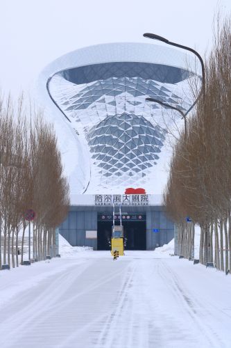 哈尔滨大剧院冰城雪影