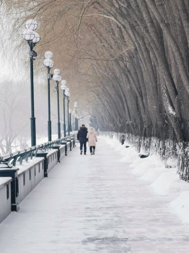 冬季里的斯大林公园