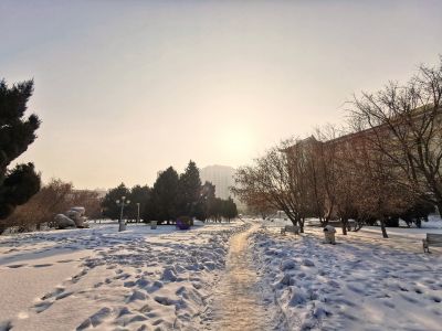 哈尔滨医科大学校园夕阳雪景