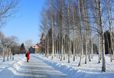 伏尔加庄园冬季雪景