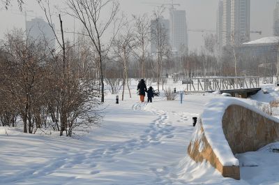 河柏花园与丁香公园的冬天