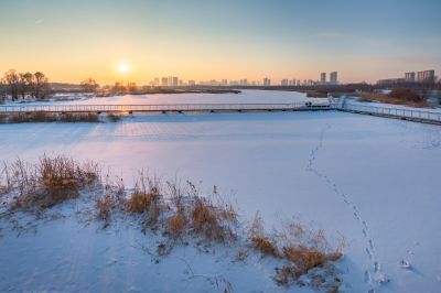 哈尔滨大剧院湿地冬季雪景