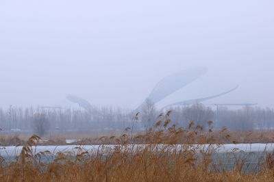 晨雾中的大剧院湿地