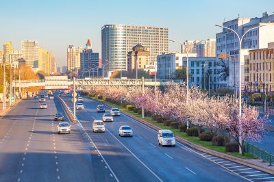 春花开满和兴路