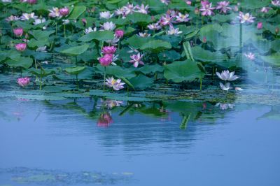 城市风光