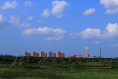 哈尔滨松北新区大剧院湿地