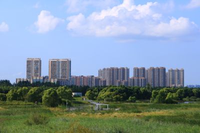 哈尔滨松北新区大剧院湿地