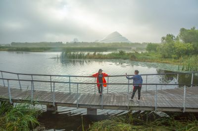 大剧院湿地晨雾