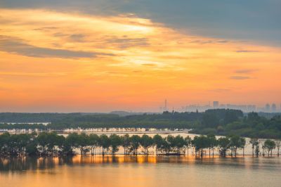 一湖三岛湿地晨光