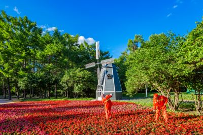 风景如画植物园