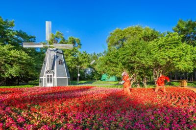 风景如画植物园