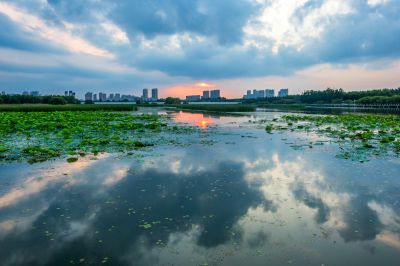 哈尔滨大剧院湿地的夏日风景