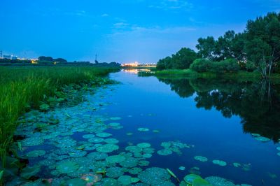 哈尔滨大剧院湿地的夏日风景