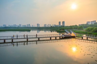 哈尔滨大剧院湿地的夏日风景