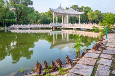 太阳岛风景画