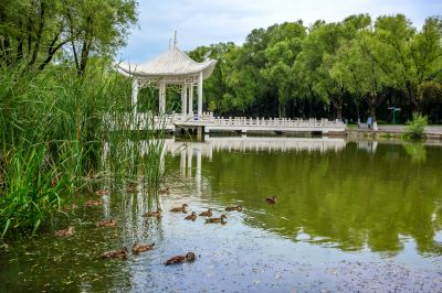 太阳岛风景画