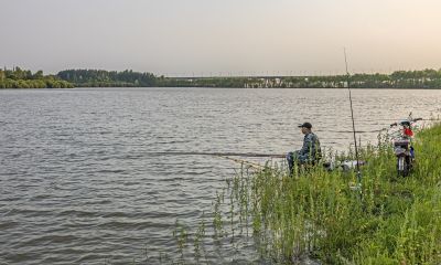 哈尔滨市政府广场湿地