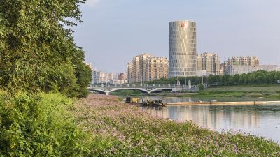  群力外滩湿地风光