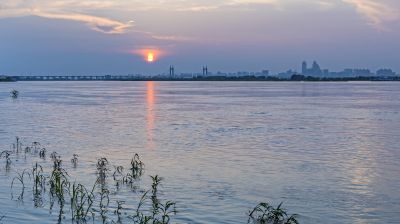  群力外滩湿地风光