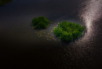 大剧院湿地秋色美